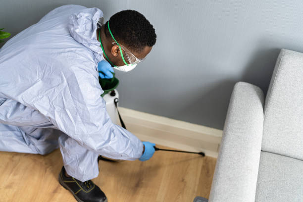 Best Termite Inspection and Treatment  in Oyster Bay Cove, NY